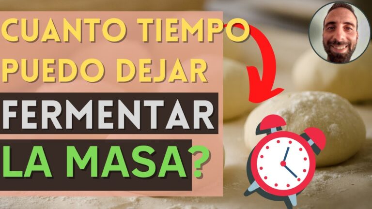 Opciones de Cursos de Verano en Algatoc&iacute;n