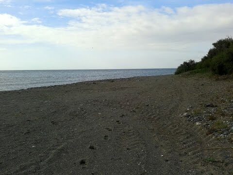 Playas para Perros cerca de Estepona: Gu&iacute;a Completa