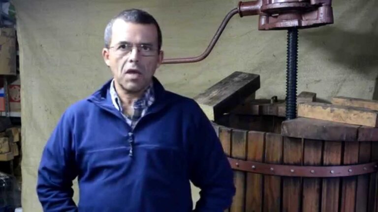 Los mejores lugares para disfrutar vino en Benarrabá