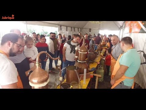 Las Mejores Zonas de Ambiente Nocturno en Genalguacil