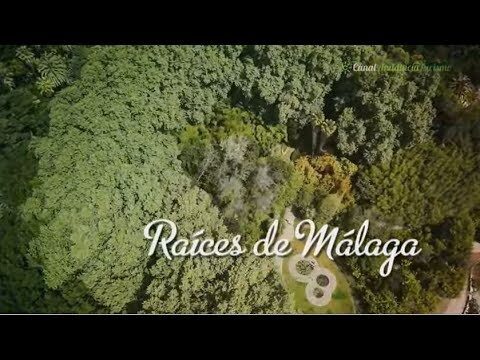 Los mejores espacios verdes para visitar en Ist&aacute;n
